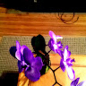 Meet your Posher, Madai